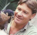 Steve Irwin