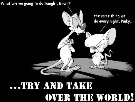 Pinky and Brain